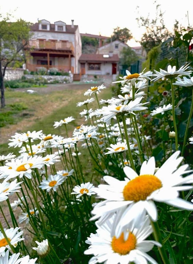Alojamiento Gaia Aldeasona Kültér fotó